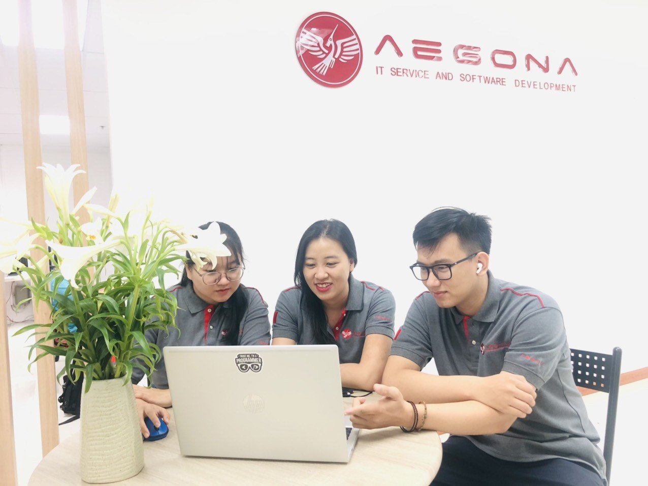 Aegona software development outsourcing company in vietnam