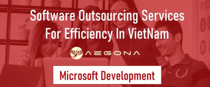 Software-Outsourcing-Services-For-Efficiency-In-VietNam