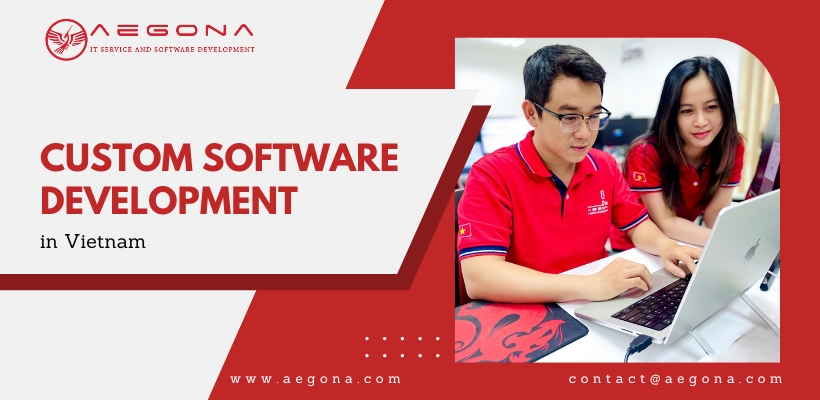 Overview of the Custom Software Development Services in Vietnam