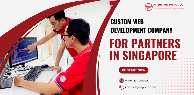 Custom Web Development Company for Partners in Singapore