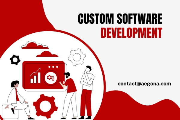 custom software development