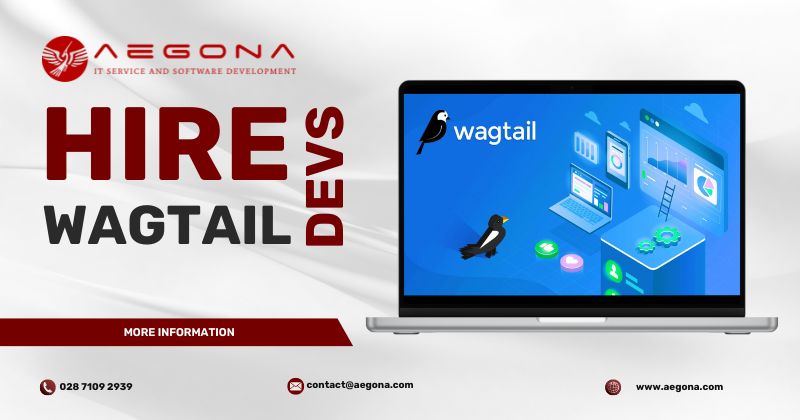 hire-wagtail-developer-in-viet-nam