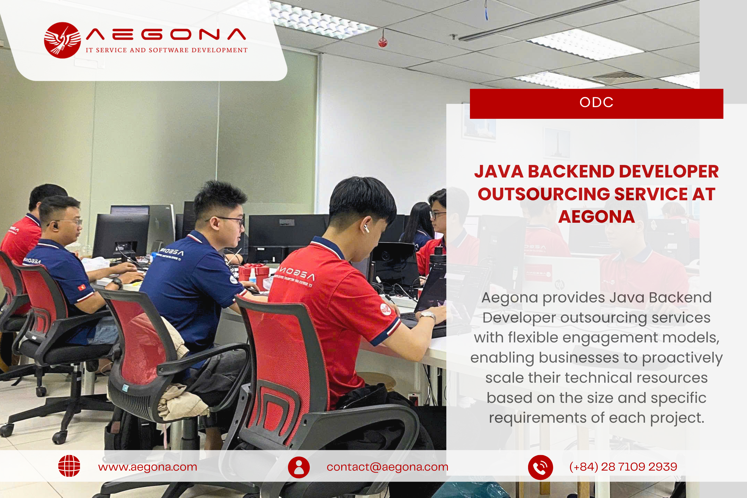 Java Backend Developer Outsourcing Service at Aegona
