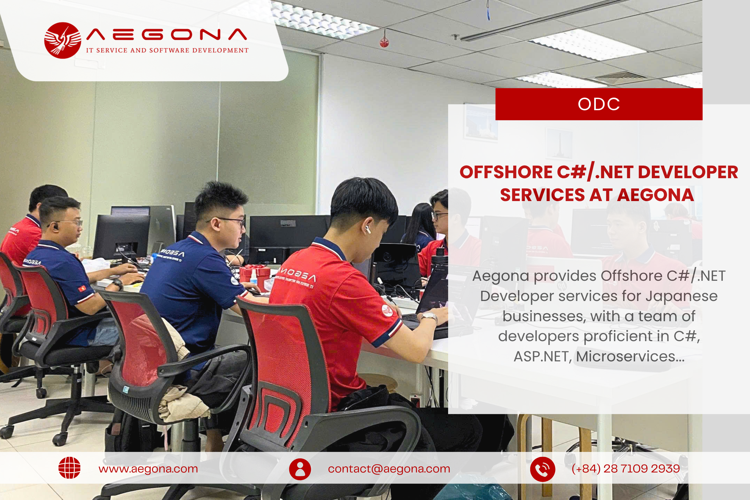 Offshore C#/.NET Developer Services at Aegona