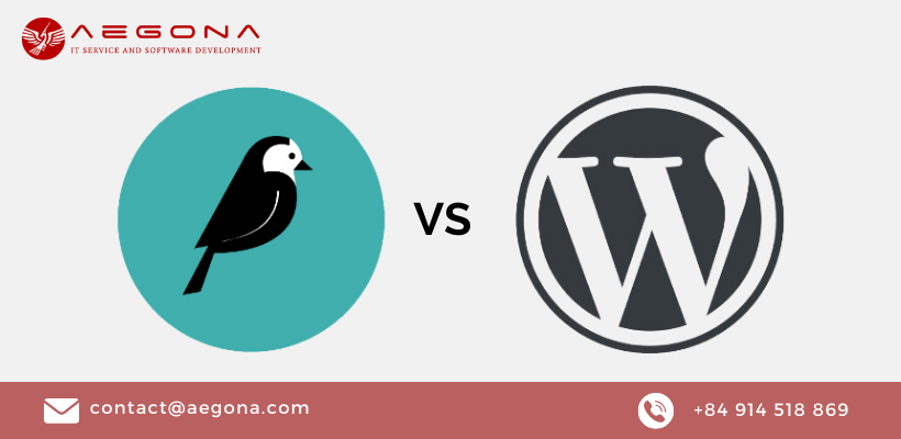 wagtail vs wordpress