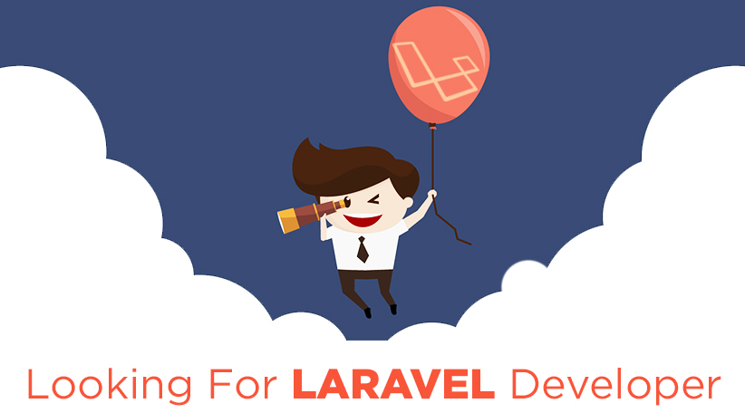 look for laravel developer